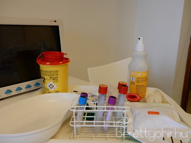 Mintakórtermet avattak 19